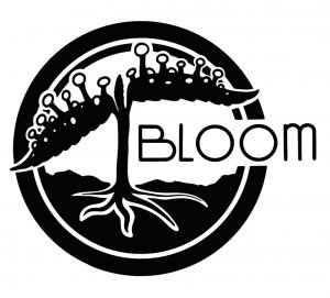 Buy BloomSeedCo Seeds Online