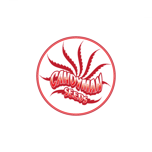 Where to Buy CandyMan Seeds Online