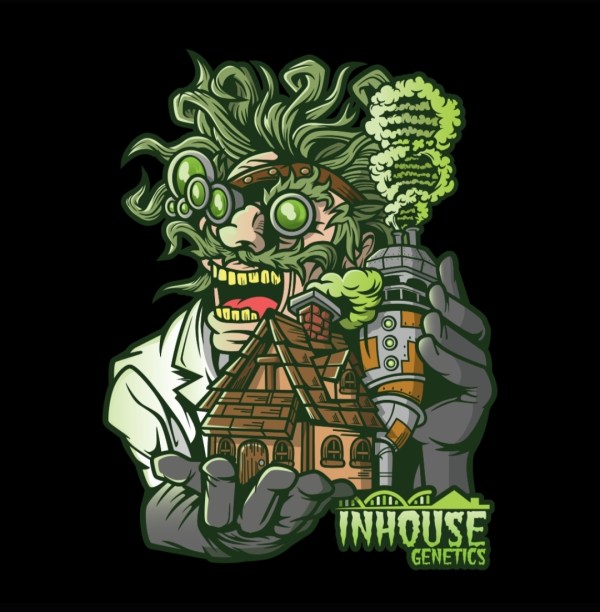 Where to Purchase In-House Genetics Cannabis Seeds Online