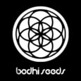 Where to Buy Bodhi Genetics Seeds Online