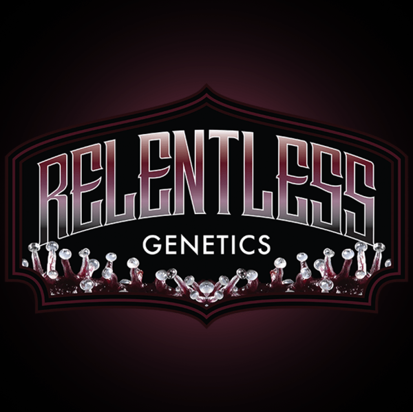 Buy Zozay Cannabis Seeds