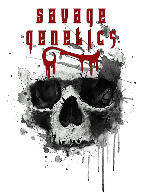 Where to Buy Savage Genetics Seeds Online